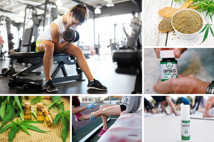 CBD products for Workout Junkies
